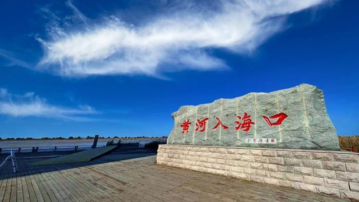 △黃河入?？谖挥谏綎|東營(yíng)市墾利區(qū)。(總臺(tái)央視記者彭漢明拍攝)