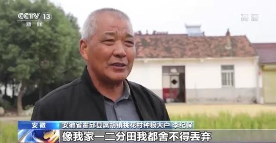 十八連豐！秋收近九成 我國糧食產(chǎn)能穩(wěn)步提升