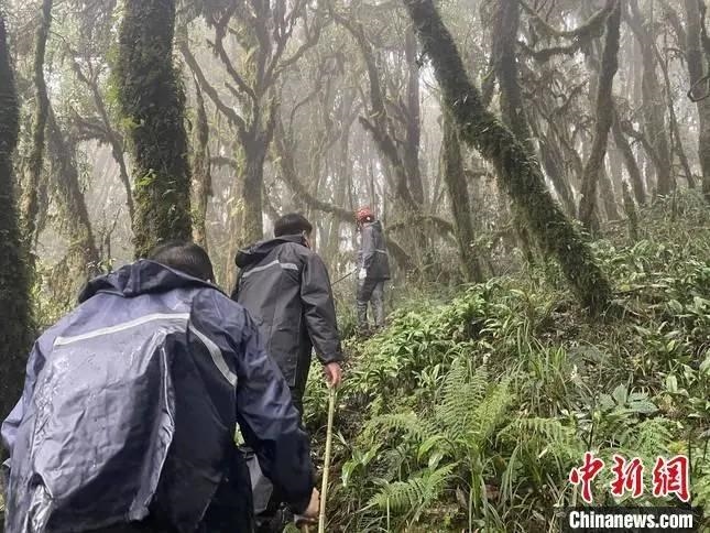 圖為救援現(xiàn)場(chǎng)。鎮(zhèn)沅縣委宣傳部提供