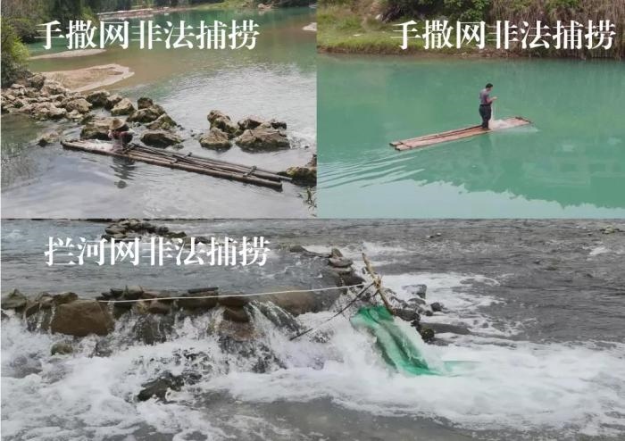 2021年9—10月，前期暗查發(fā)現(xiàn)，保護(hù)區(qū)核心區(qū)內(nèi)非法捕撈行為十分猖獗