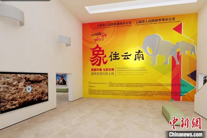 圖為“象”往云南——美麗中國(guó) 七彩云南視頻及圖片線(xiàn)上展截圖?！『h(yuǎn)航 攝