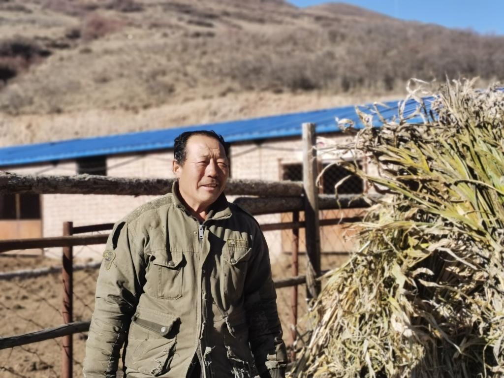 1月19日，山西省岢嵐縣脫貧戶呂如堂在牛圈前準備草料。新華社記者 梁曉飛 攝