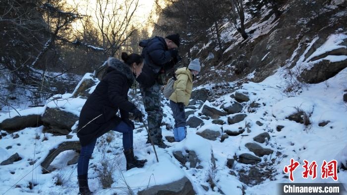 圖為工作人員發(fā)現(xiàn)疑似放歸雪豹的痕跡(資料圖)?！让晒刨R蘭山國家級自然保護區(qū)供圖