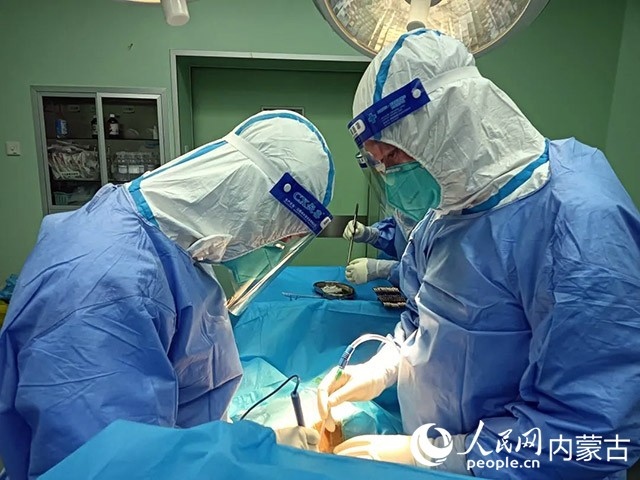 醫(yī)護(hù)人員正在為新冠肺炎合并腸梗阻腸穿孔的尿毒癥患者實(shí)施急診手術(shù)。呼和浩特市第一醫(yī)院供圖