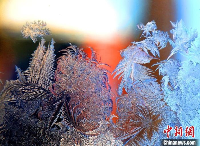 惟妙惟肖的冰窗花，似一幅風(fēng)景畫。　孫書程 攝