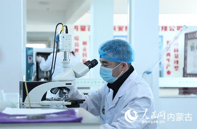 內(nèi)蒙古中農(nóng)興安種牛科技有限公司落戶科右中旗，為肉牛產(chǎn)業(yè)發(fā)展提供了優(yōu)質(zhì)的種源保障。白俊華攝