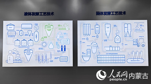科拓生物工藝技術(shù)展示。人民網(wǎng)記者 張雪冬攝
