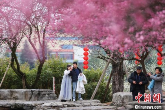 2月23日，市民在乾藝梅園景區(qū)觀賞綻放的梅花。瞿宏倫 攝