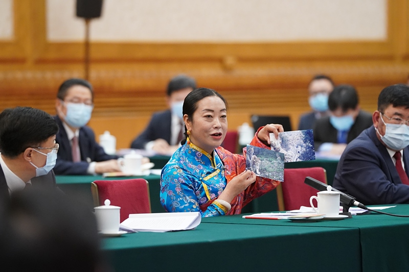 2021年3月7日，習近平總書記在參加十三屆全國人大四次會議青海代表團審議時，全國人大代表孔慶菊在會上展示了兩張照片，上面分別是祁連山地區(qū)多年不見蹤跡的雪豹和荒漠貓。