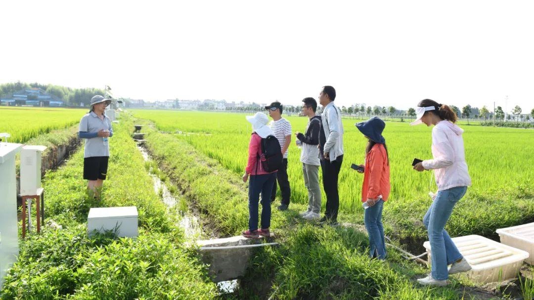 △云南大理古生村科技小院成員在田間調(diào)查。