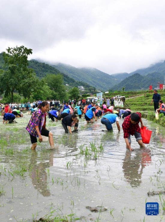 5月27日，秭歸縣九畹溪鎮(zhèn)農(nóng)民參加摸魚比賽。
