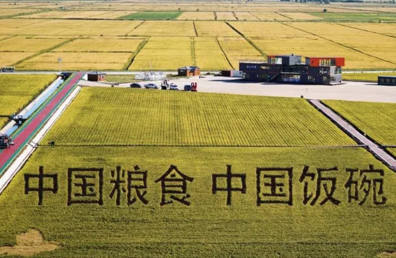 2022年9月2日，黑龍江省富錦市萬畝水稻科技示范園內的稻田畫。