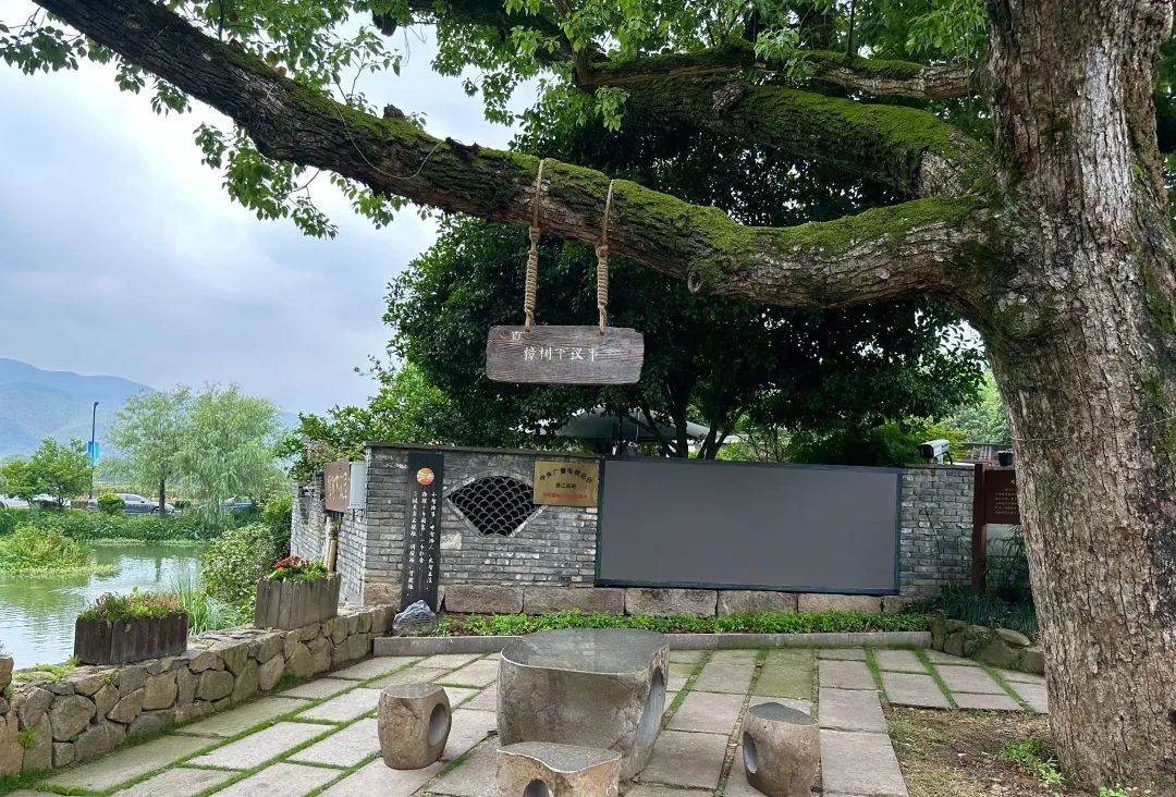 浙江省杭州市余杭區(qū)小古城村的“樟樹(shù)下議事”木制字牌。靜玄 攝