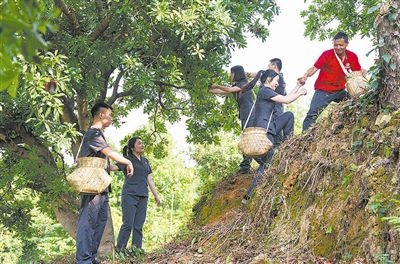 村民幫助志愿者爬上山坡。