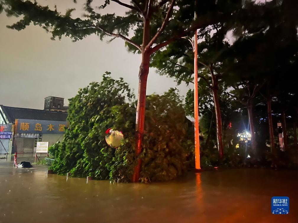 7月17日晚，在廣東湛江海濱大道北，路邊的樹(shù)木被風(fēng)刮倒（手機(jī)照片）。新華社記者 鄧華 攝