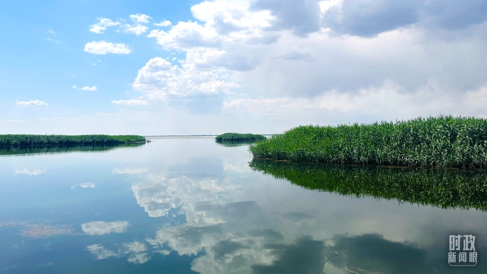 內(nèi)蒙古烏梁素海，是黃河流域最大的湖泊濕地。（總臺(tái)央視記者范一鳴拍攝）