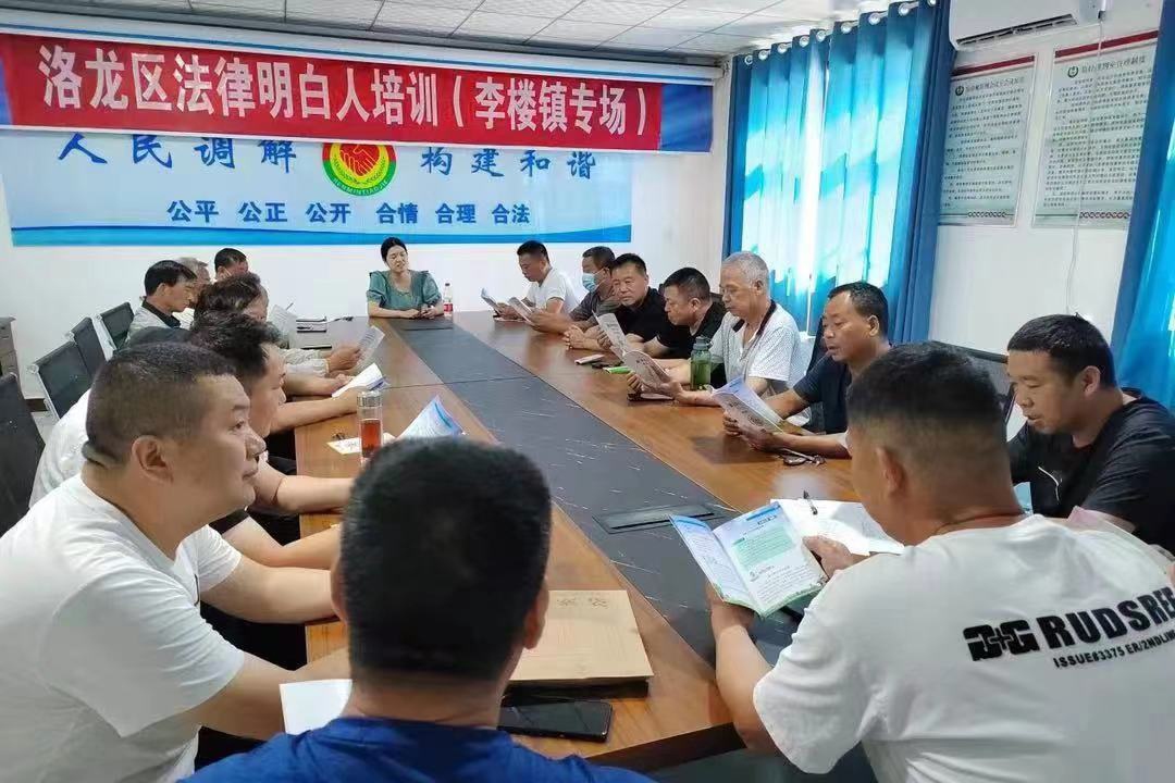 河南省洛陽市洛龍區(qū)李樓司法所開展《民法典》專題普法講座暨“法律明白人”培訓(xùn)。河南省司法廳供圖