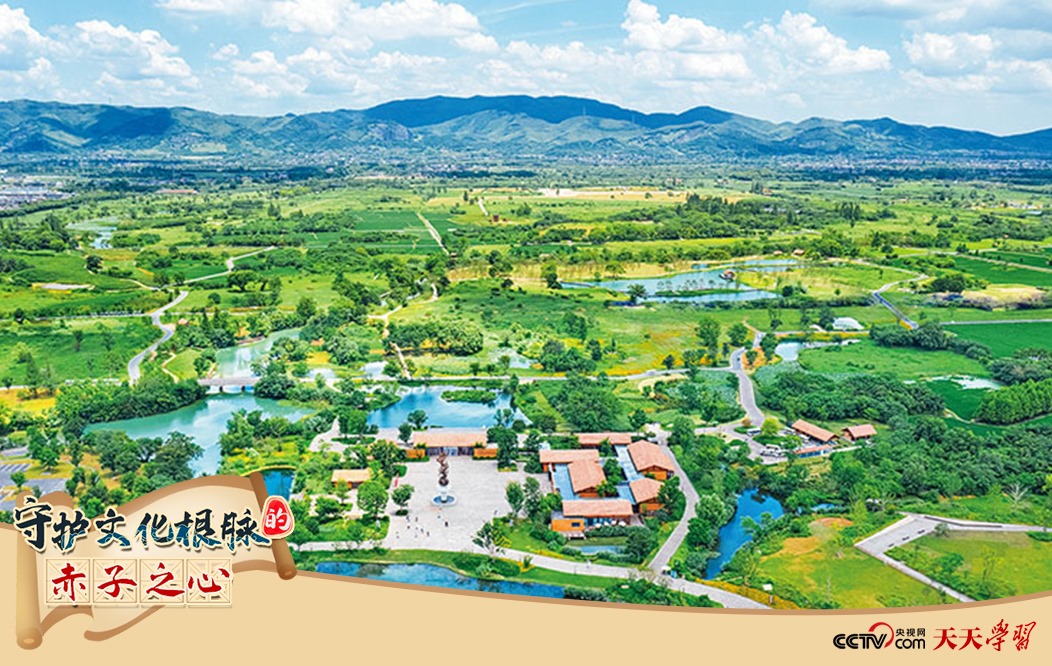 圖為2021年7月拍攝的良渚古城遺址公園。