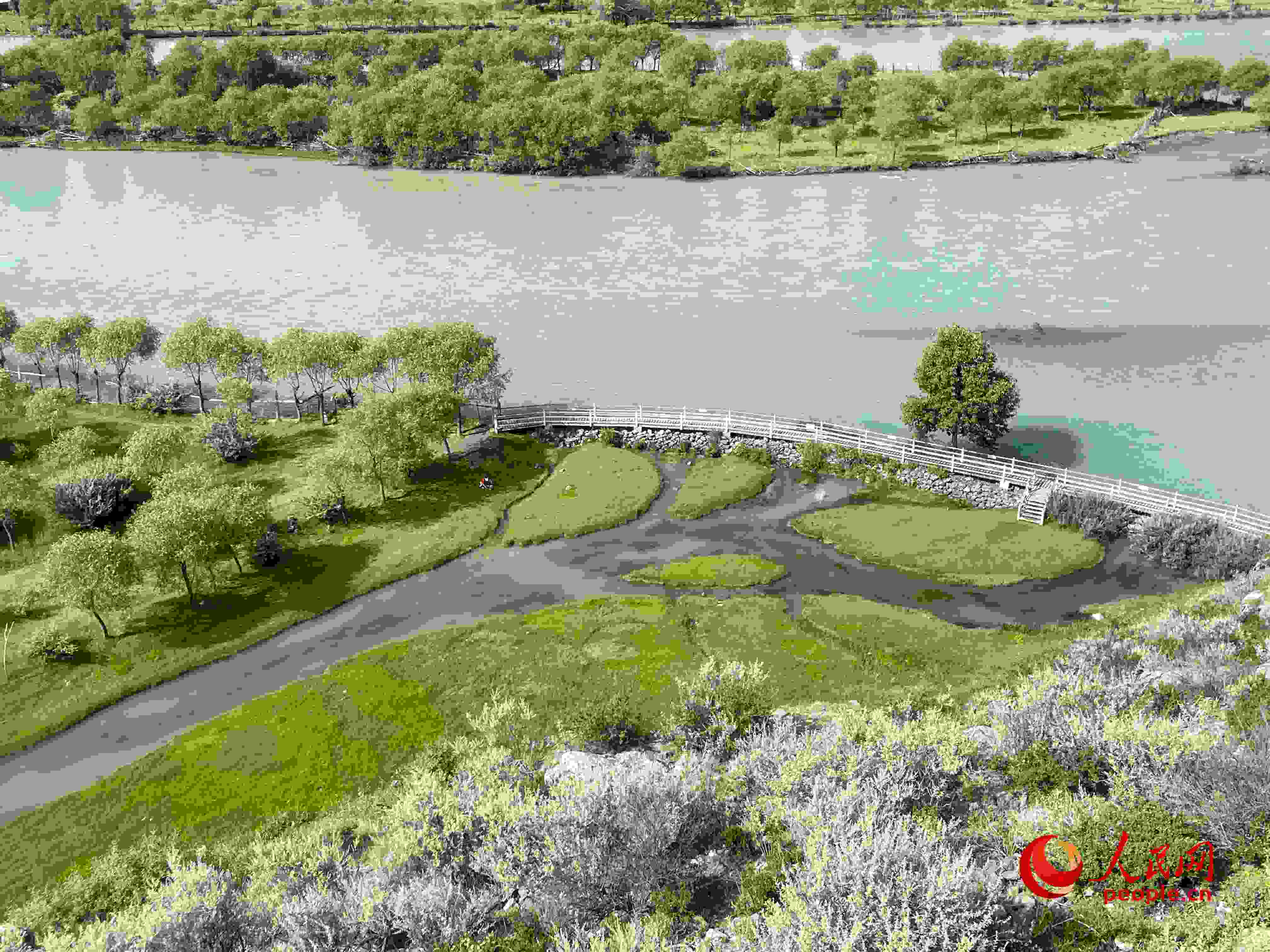夏日的雅尼國(guó)家濕地公園生機(jī)盎然，如詩如畫。人民網(wǎng) 周靜圓攝