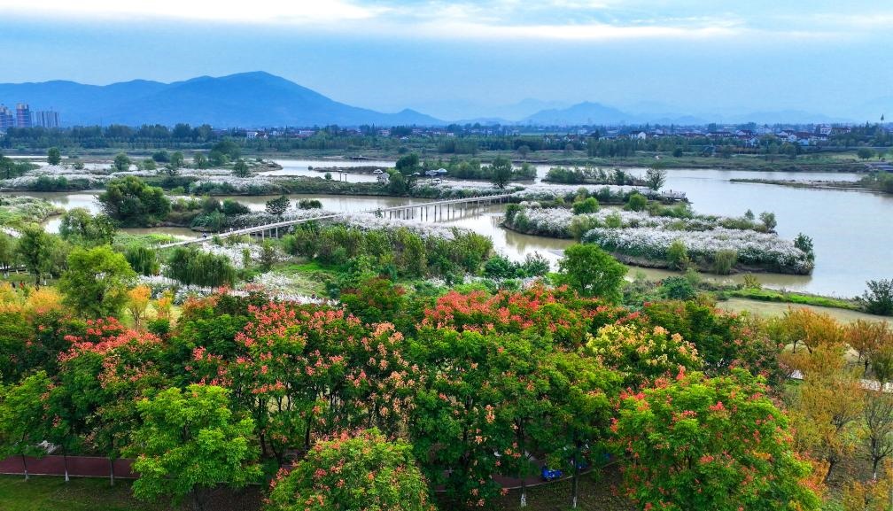 2022年10月11日拍攝的天漢濕地公園景色。新華社發(fā)（宋曉麗 攝）