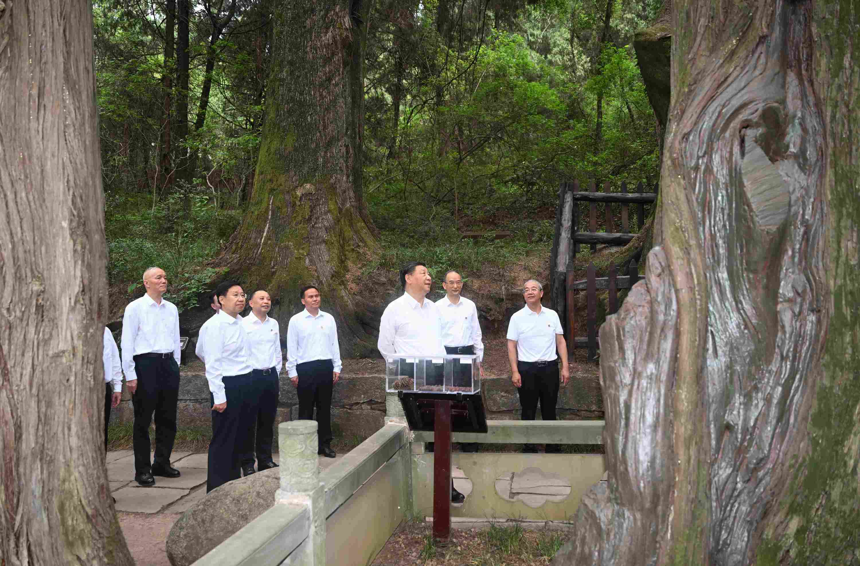 △2023年7月25日，習(xí)近平總書記在四川省廣元市考察了翠云廊古蜀道，了解當(dāng)?shù)赝七M歷史文化傳承、加強生態(tài)文明建設(shè)等情況。