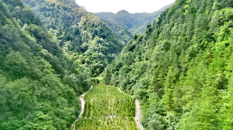 建設(shè)中的西氣東輸三線中段。受訪者供圖