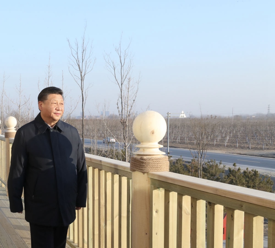 2019年1月16日，習近平在河北雄安新區(qū)考察調(diào)研。在“千年秀林”大清河片林一區(qū)造林區(qū)域，習近平登上秀林驛站二層平臺遠眺林區(qū)全貌。
