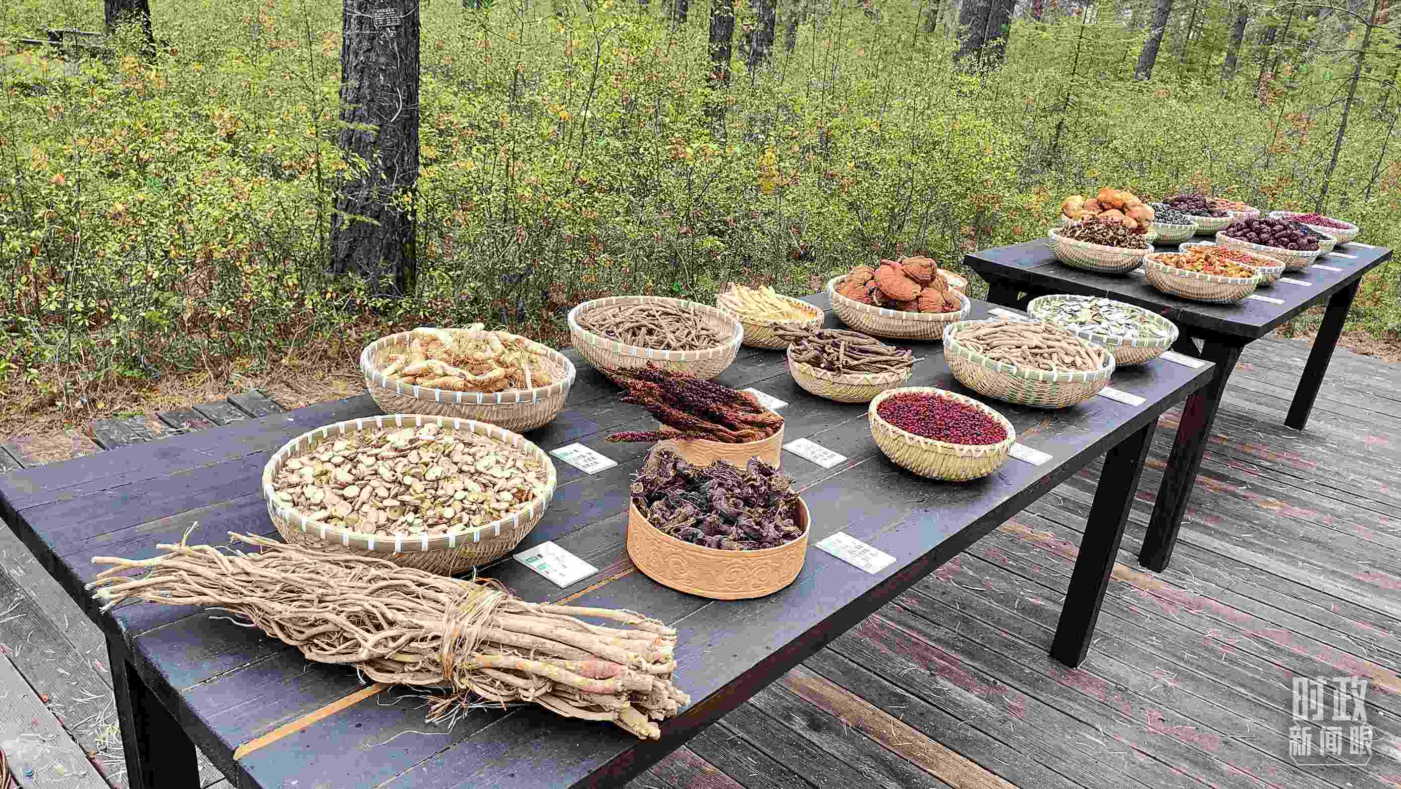 △林場里的食用菌、林果等特產。（總臺央視記者楊立峰拍攝）