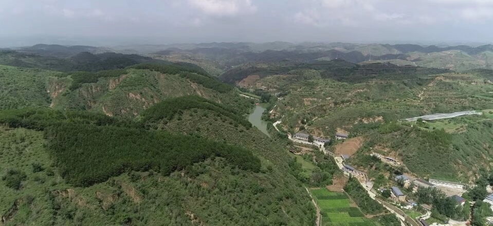 黃土溝壑中的高西溝村滿眼綠色（無人機(jī)照片，2023年7月26日）。新華社記者陳昌奇 攝