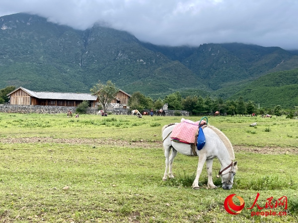 玉湖村附近草甸。人民網(wǎng) 周靜圓攝