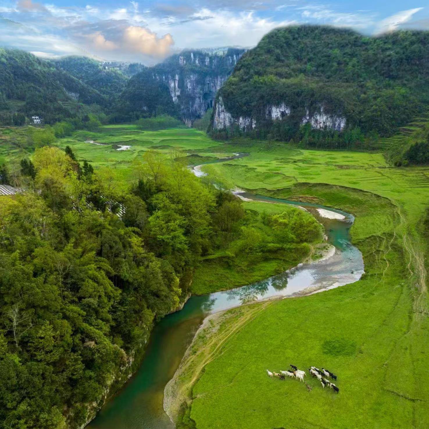 棣棠鄉(xiāng)龍氼孔千畝大草原自駕露營基地。棣棠鄉(xiāng)人民政府供圖