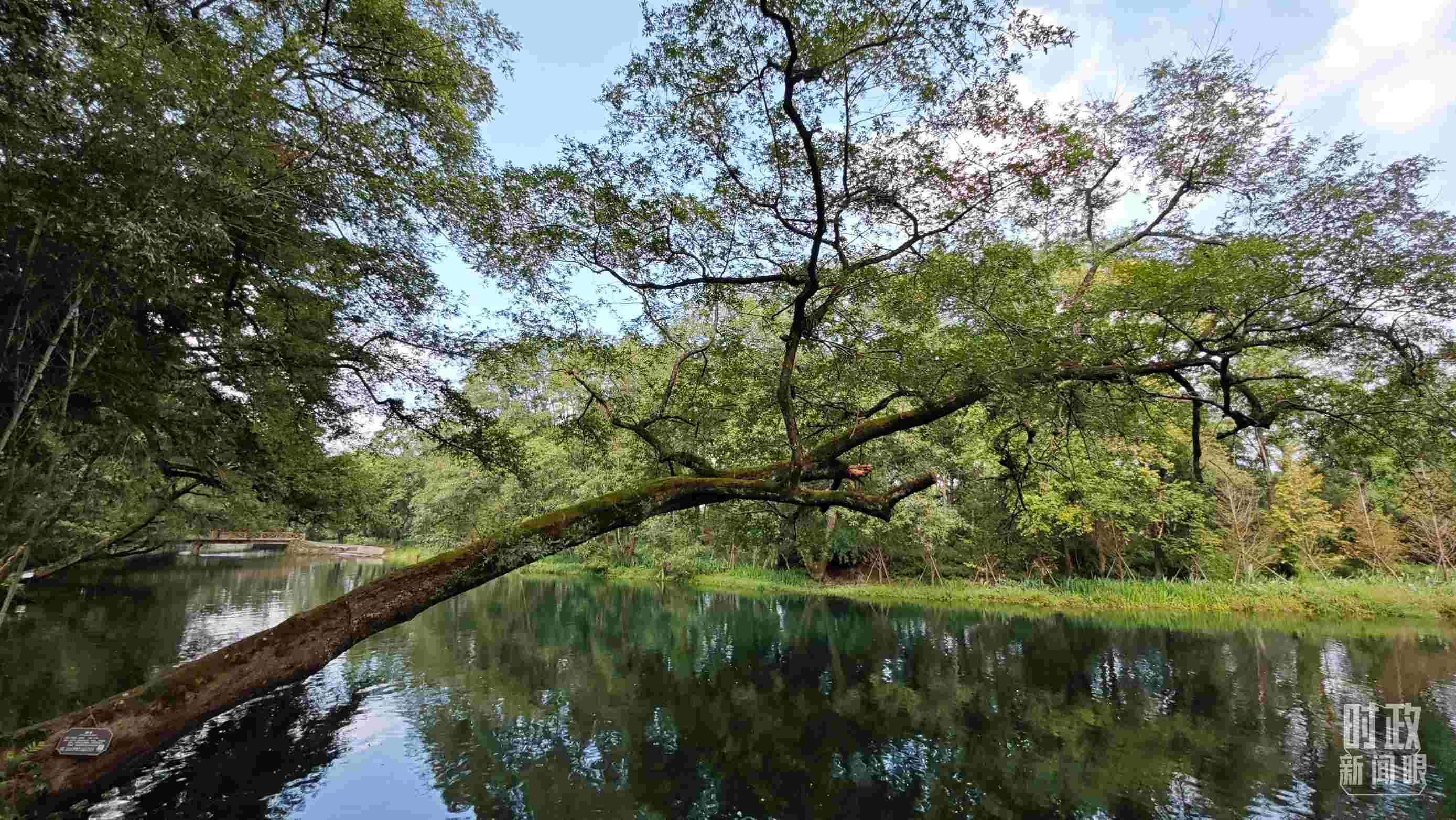 △饒河源國(guó)家濕地公園。（總臺(tái)央視記者郁振一拍攝）