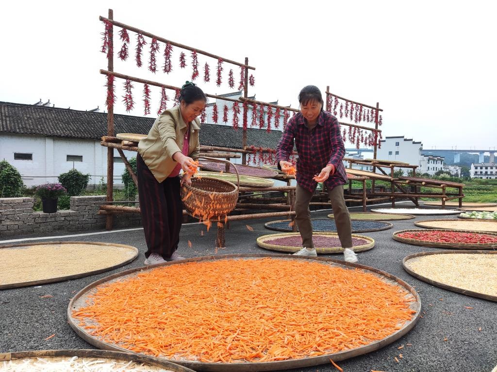近日，江西省上饒市婺源縣秋口鎮(zhèn)王村的村民正在晾曬農(nóng)作物。新華社記者 劉佳敏 攝