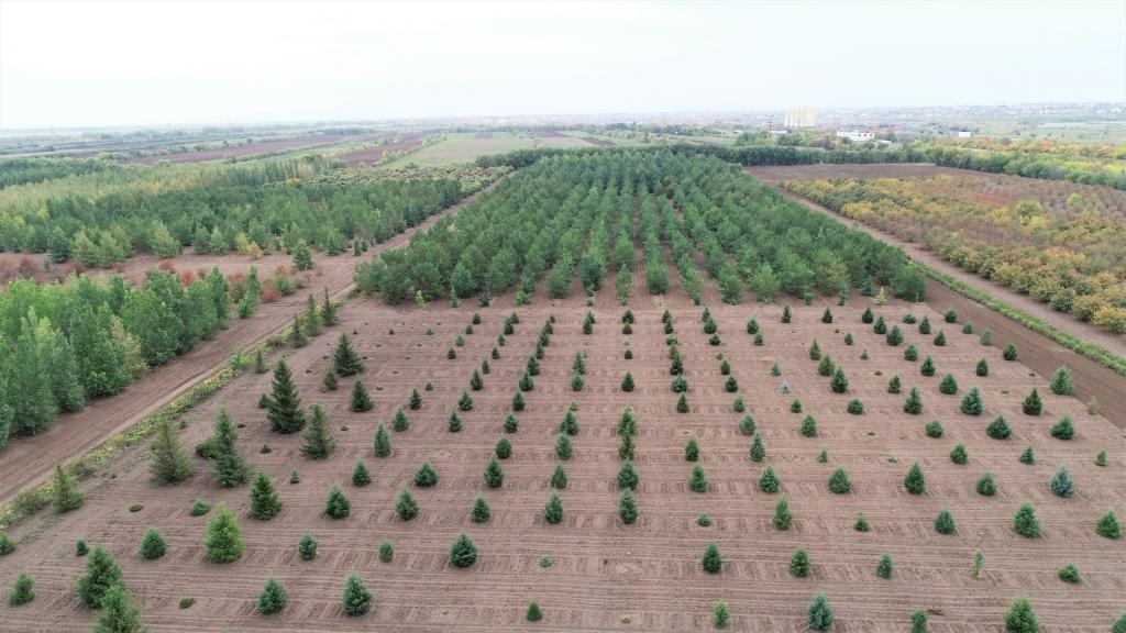 這是2023年9月11日在哈薩克斯坦首都阿斯塔納拍攝的一處植物種質(zhì)資源苗圃（無人機(jī)照片）。新華社發(fā)（法爾哈特·圖克諾夫 攝）