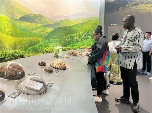  （在中國(guó)藥都中醫(yī)藥博物館，外媒記者了解中醫(yī)藥發(fā)展史。中國(guó)經(jīng)濟(jì)周刊記者 郭志強(qiáng) 攝）