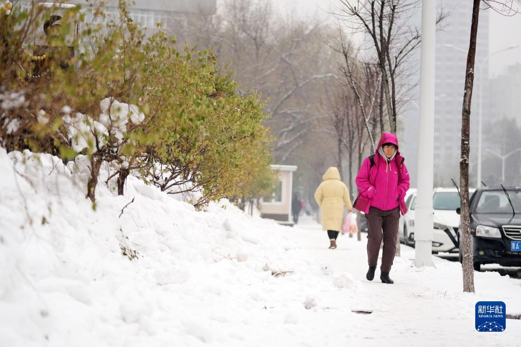 11月16日，市民在雪中前行。當日，黑龍江哈爾濱市迎來雨雪天氣。新華社記者 王建威 攝