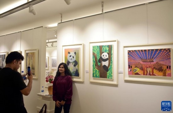 11月22日，在孟加拉國達卡，人們在“國家印象”繪畫展上參觀拍照。新華社發(fā)（薩利姆攝）