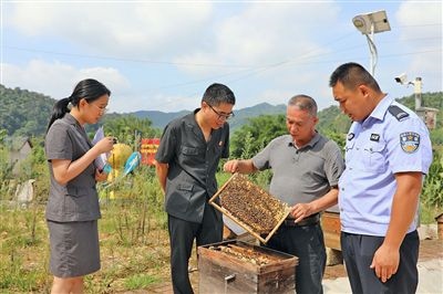  圖②：蒙山法院黃村法庭法官深入蜂蜜合作社，實地了解蜂農(nóng)需求。