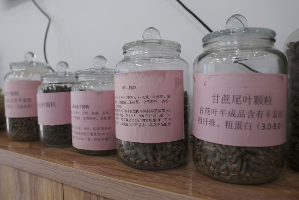 這是12月13日在來(lái)賓市興賓區(qū)小平陽(yáng)鎮(zhèn)一家飼料廠拍攝的以甘蔗尾葉為原料制成的飼料。