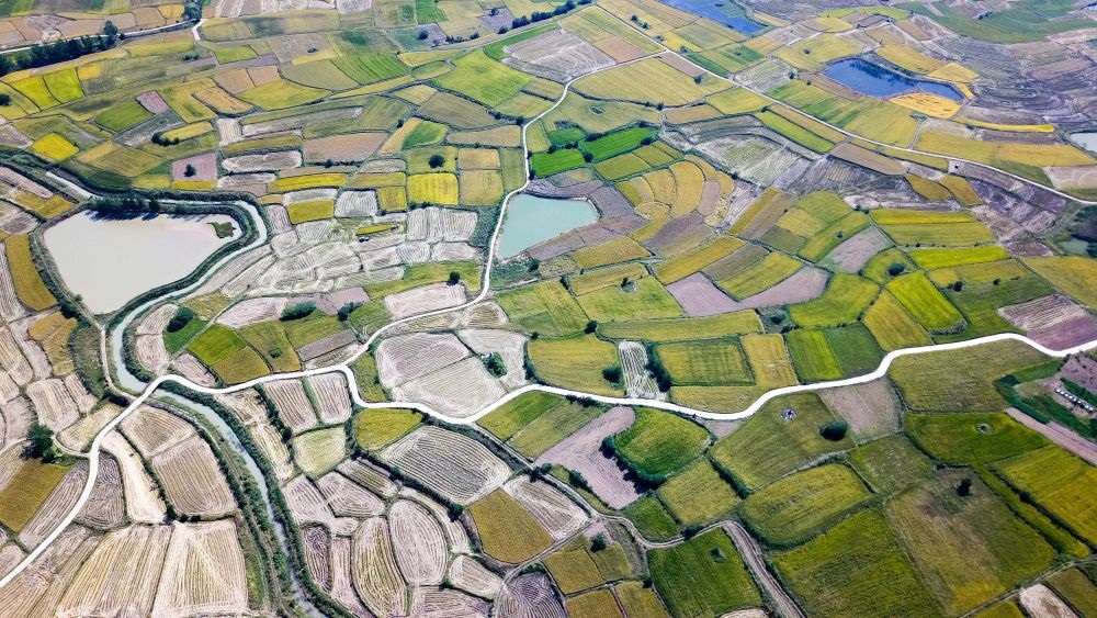 安徽省鳳陽縣小崗村的田野景象（2018年9月27日攝，無人機(jī)照片）。新華社記者 張端 攝