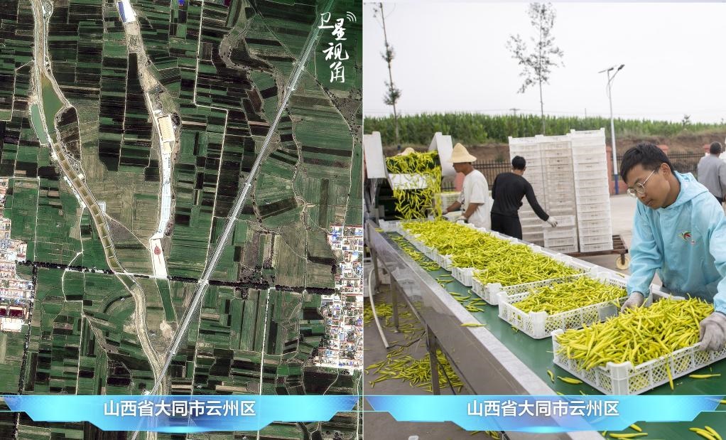 當前，大同市開發(fā)黃花菜品、食品、飲品、功能食品、化妝品、文創(chuàng)產(chǎn)品六大系列130余種，全產(chǎn)業(yè)鏈產(chǎn)值超40億元。