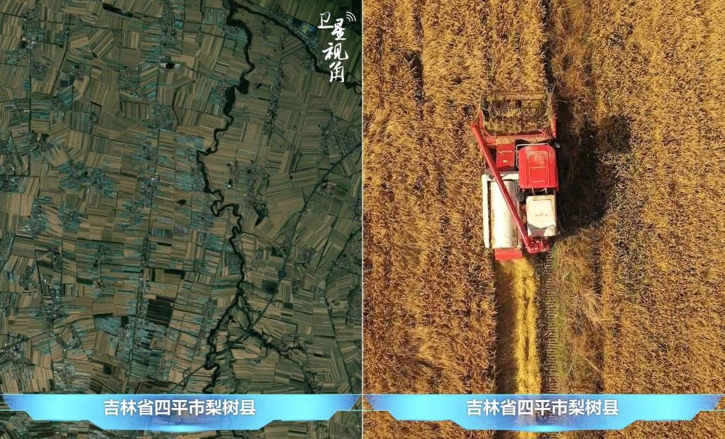 隨著現(xiàn)代化農(nóng)機普及應用，保護性耕作“梨樹模式”得以大面積推廣，不僅使黑土地保護與利用持續(xù)深入，更為糧食作物高產(chǎn)穩(wěn)產(chǎn)助力。