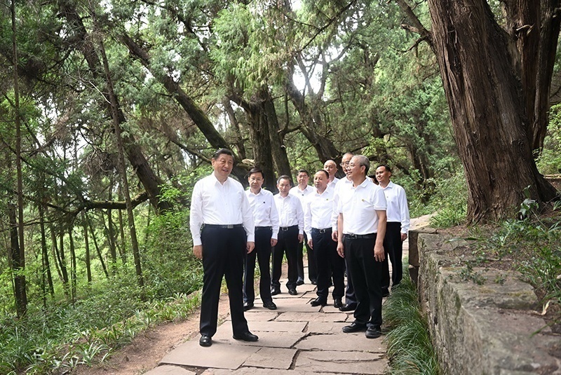 2023年7月25日，習(xí)近平總書(shū)記在四川廣元市劍閣縣翠云廊考察。新華社記者 謝環(huán)馳 攝