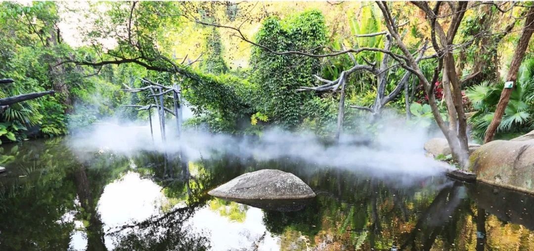 △鼓浪嶼-萬石山風(fēng)景名勝區(qū)重要組成部分廈門園林植物園熱門景點“雨林世界”。
