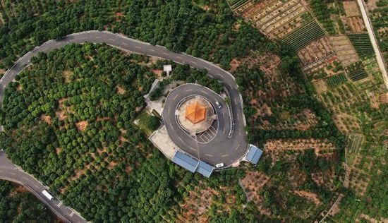 廣東茂名高州市根子鎮(zhèn)打造的荔枝林景觀(guān)