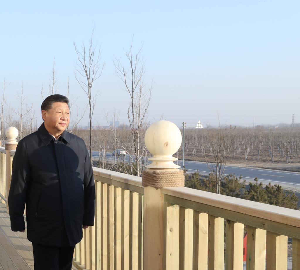 2019年1月16日，在河北雄安新區(qū)“千年秀林”大清河片林一區(qū)造林區(qū)域，習近平總書記登上秀林驛站二層平臺遠眺林區(qū)全貌。新華社記者 鞠鵬 攝