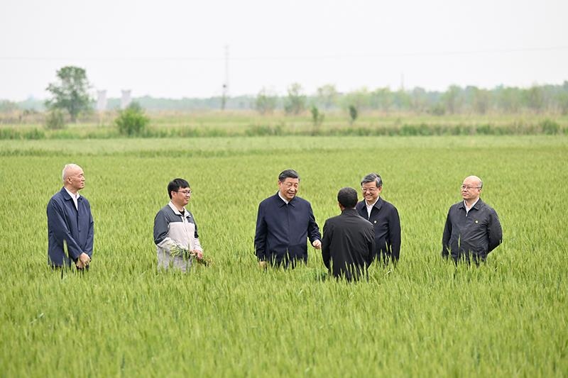 △2023年5月11日，習(xí)近平總書記在河北滄州黃驊市舊城鎮(zhèn)仙莊片區(qū)旱堿地麥田同種植戶、農(nóng)技專家親切交流。