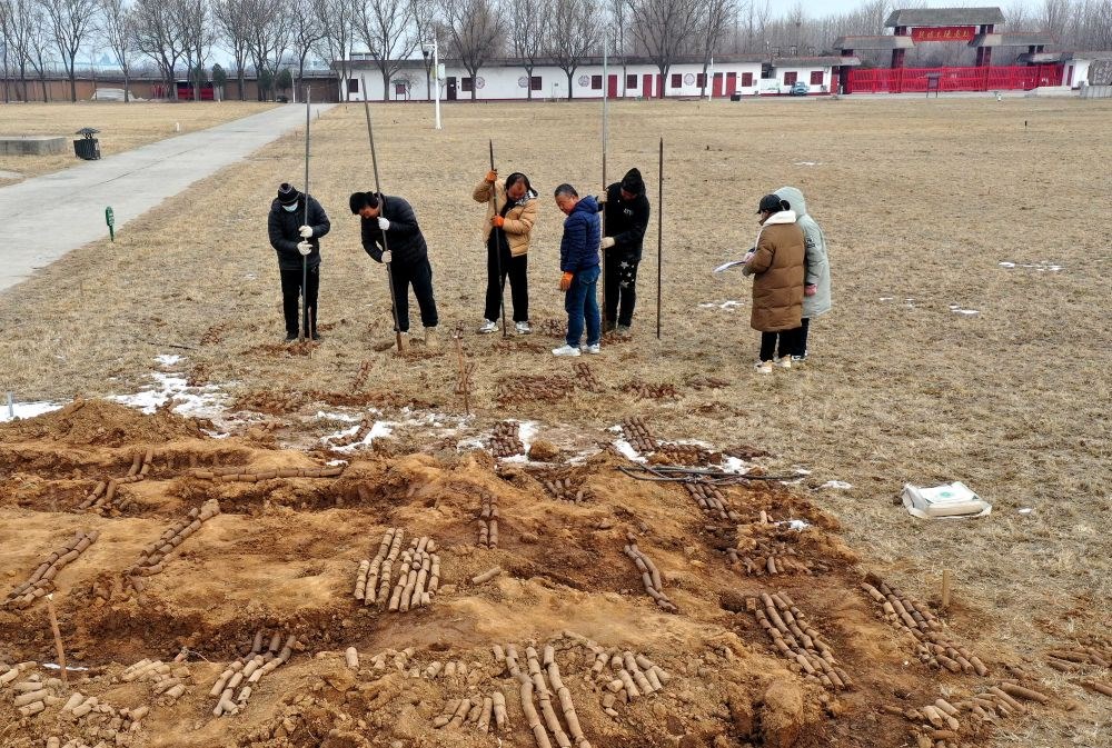 在殷墟王陵遺址，工作人員在勘探圍溝范圍（2月24日攝）。