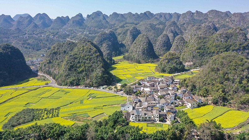 2024年2月17日，貴州省興義市萬峰林景區(qū)的油菜花海景色（無人機照片）。