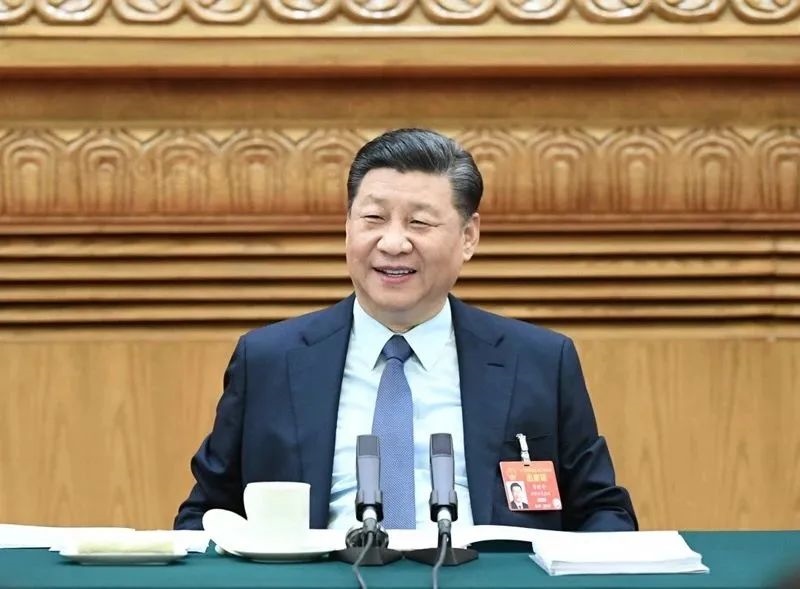 2019年3月8日，習(xí)近平參加十三屆全國人大二次會議河南代表團(tuán)的審議。新華社記者 謝環(huán)馳 攝